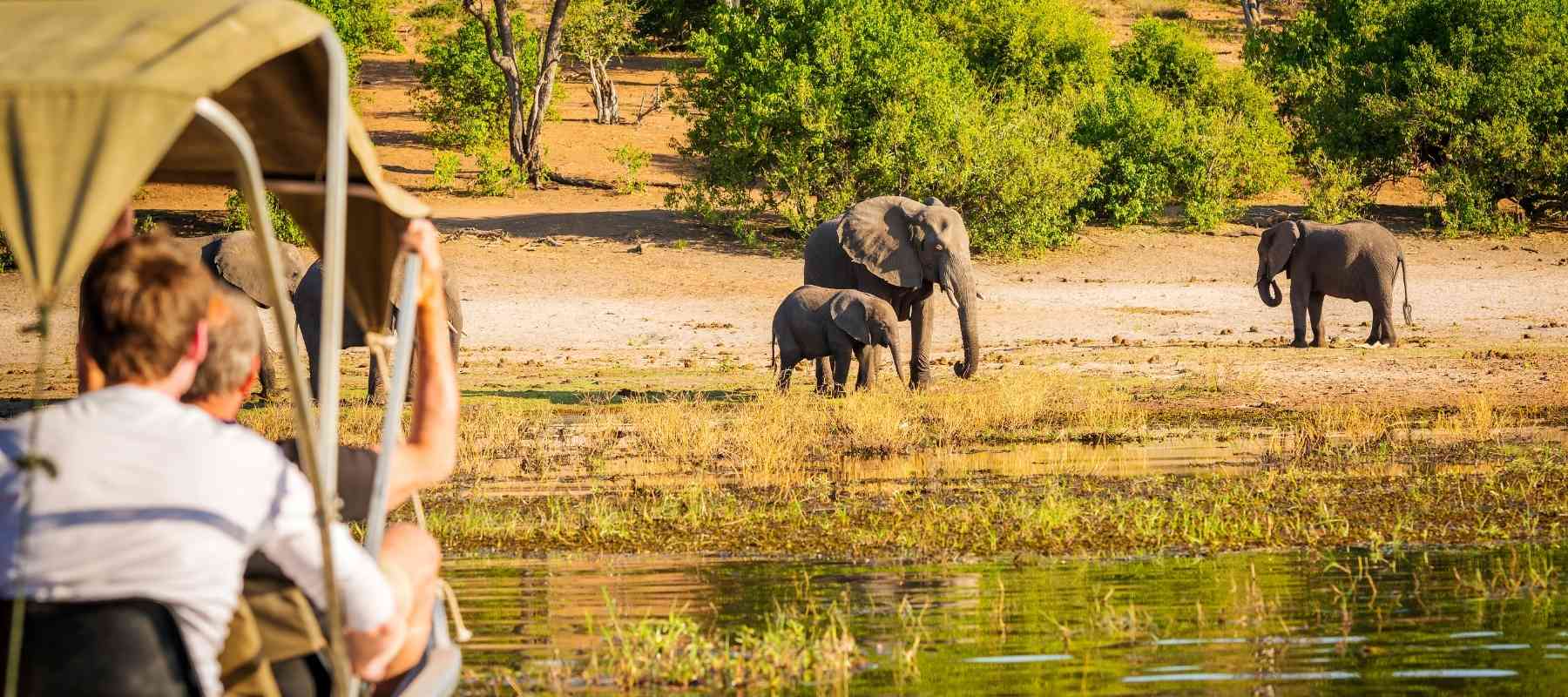 Le meilleur moment pour faire du safari en Afrique du Sud