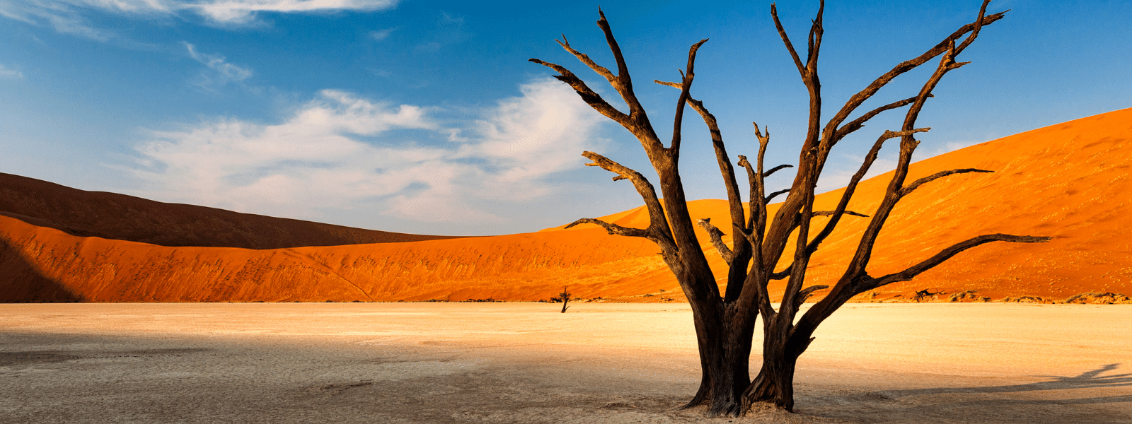 Dune de sable Namibie