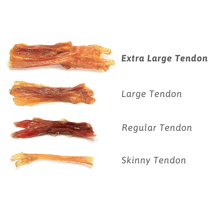 can dogs eat beef tendon