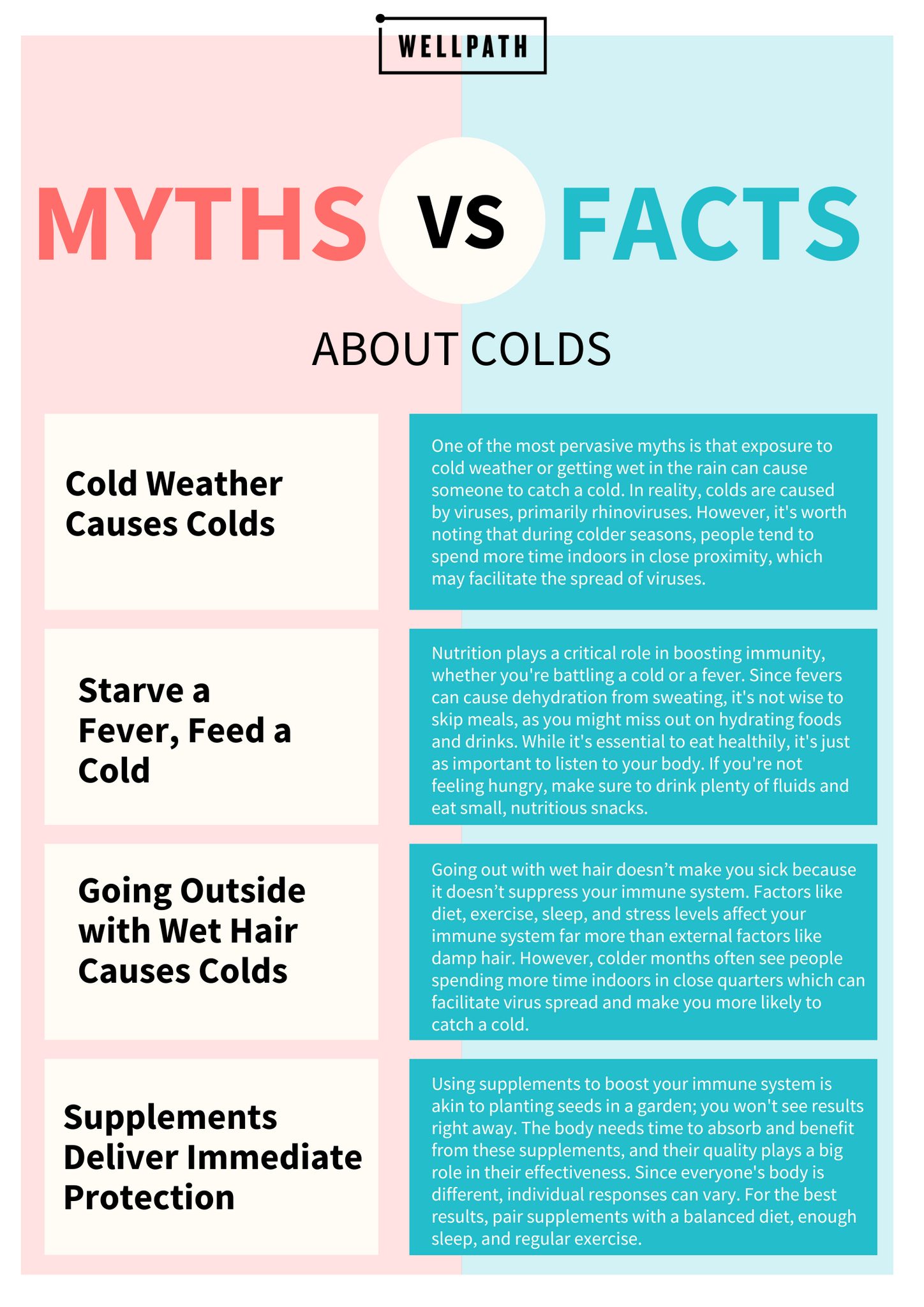 myths v facts common cold