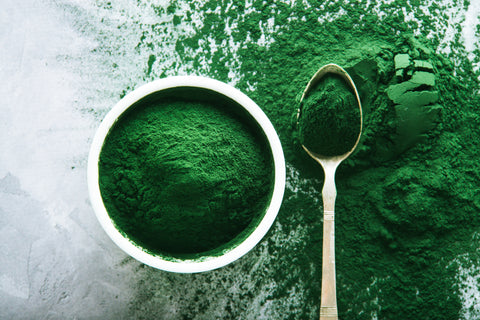 scattered spirulina powder in bowl and spoon on concrete background