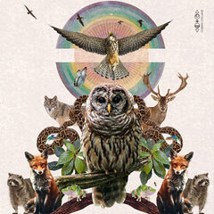 cosmic collage owl medicine card