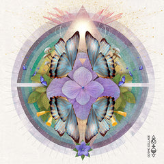 lori menna cosmic collage butterfly mandala