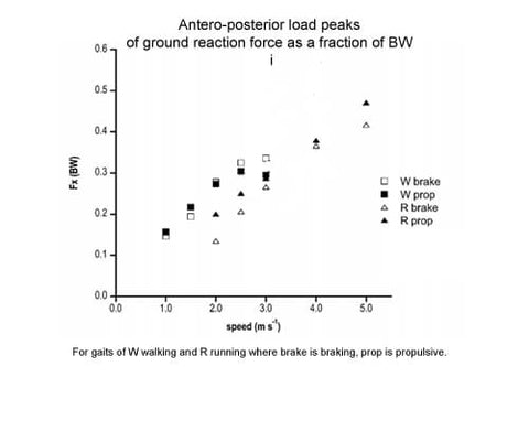 anterior posterior loads