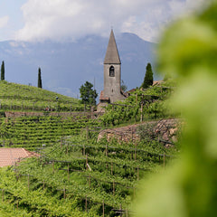 Ober dem Weingut mit Blick auf St. Magdalena