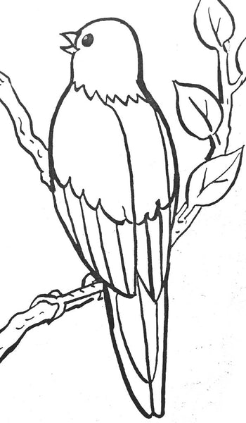 Oiseau dessin coloriage