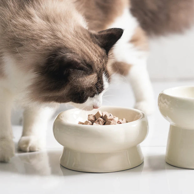 Pet Infinity Food + Water Bowl – Homeplistic