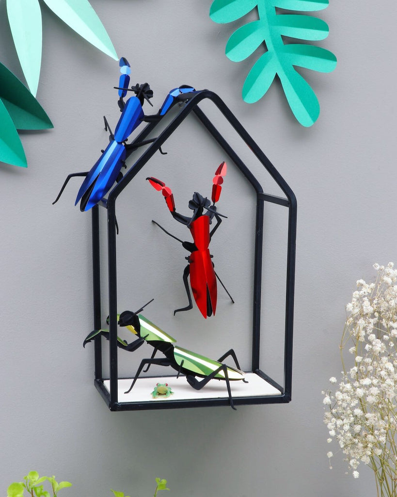 Kit insecte 3D Assembli - Mante religieuse - Standard - Insect Hobby