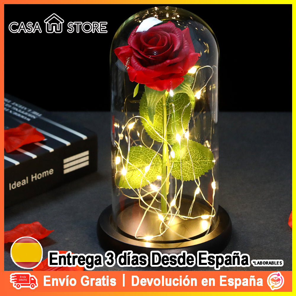 Cúpula de Rosa Eterna Led Regalo para Día de San Valentín Aniviersario  Bodas el Día de la Madre Cumpleaños Sant Jordi – Dcasa丨