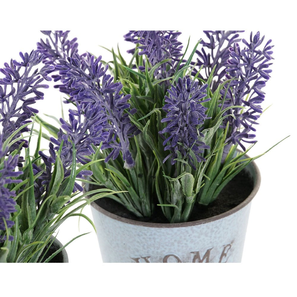 Flor Lavanda de Plástico con Maceta | Planta de Flores Artificiales, Lavanda  flocada Artificial en Maceta, Flor de Lavanda Falsa en jarrón de Metal para  decoración del hogar, Fiesta, Boda, Oficina –