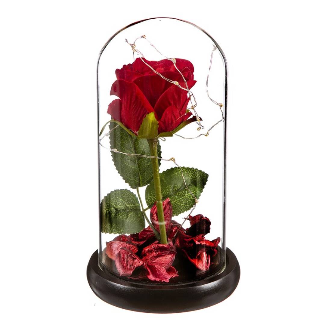 Cúpula de Rosa Eterna Led Regalo para Día de San Valentín Aniviersario  Bodas el Día de la Madre Cumpleaños Sant Jordi – Dcasa丨