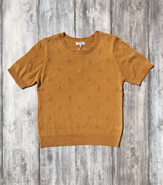 Ainsley Short Sleeve Sweater