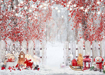 Avezano Winter Backdrop For Photograhy Custom Photo Backdrop