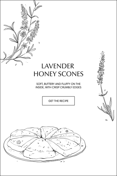 Lavender Honey Scones