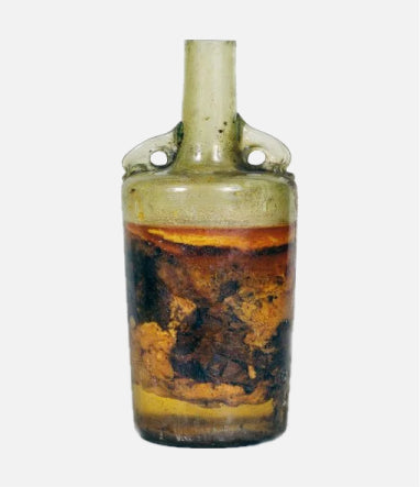 Oldest Bottle of Wine