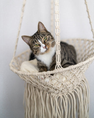 Sayang Handmade Macrame Hammock Boho Pet Hanging Bed Cat And Small Dog  /Katil Gantung Haiwan Buai Kucing
