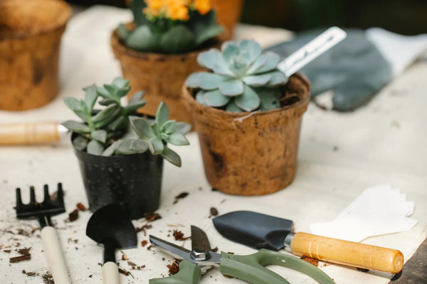 Pots and tools on a table in an outdoor garden