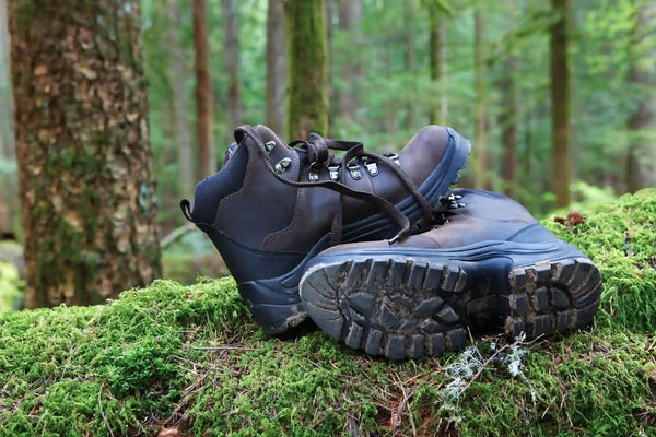 Pair of dirty hiking boots on a tree in the forest