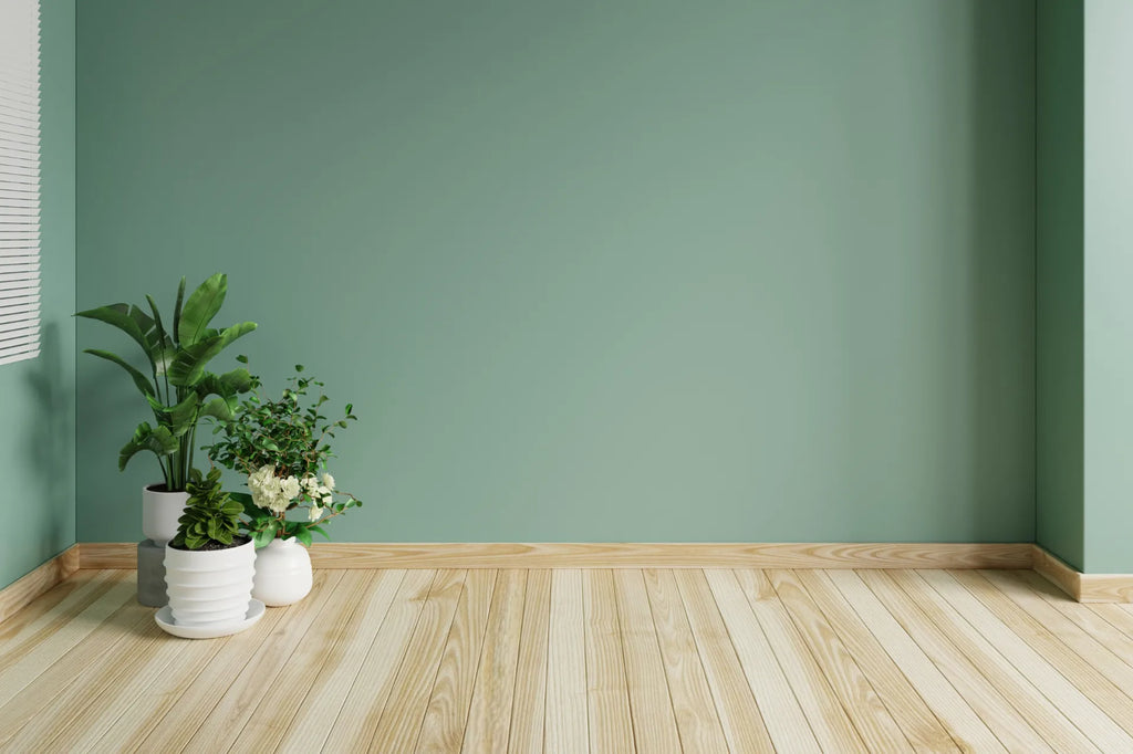 A finished green painted wall with plants in the corner