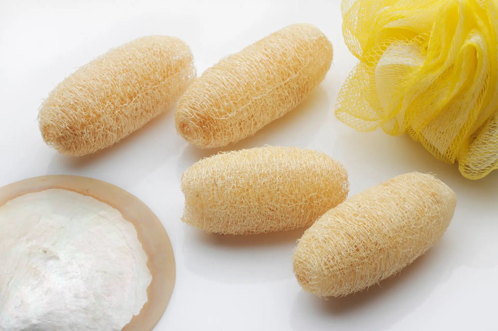 Loofah Sponges