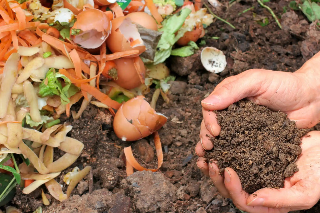 Compost Pile