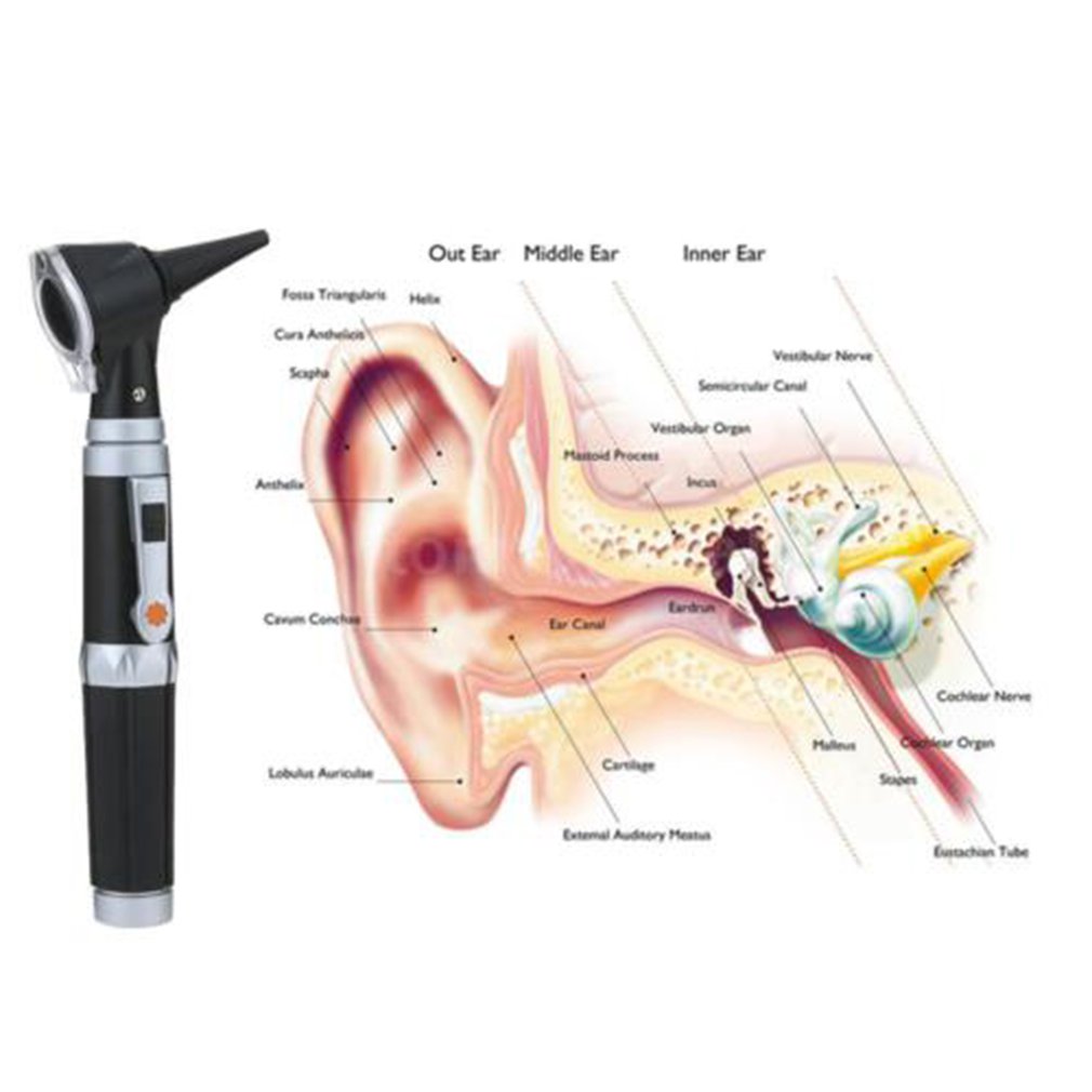 Kit de diagnóstico de otoscopio profesional de alta calidad, endoscopio  médico para el cuidado del oído, otoscopio portátil LED