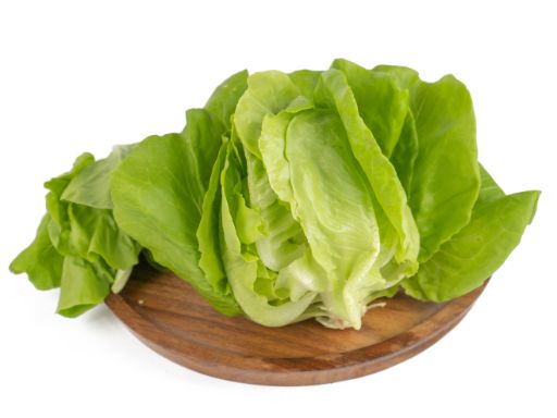 Romaine Lettuce Gourmet Garden