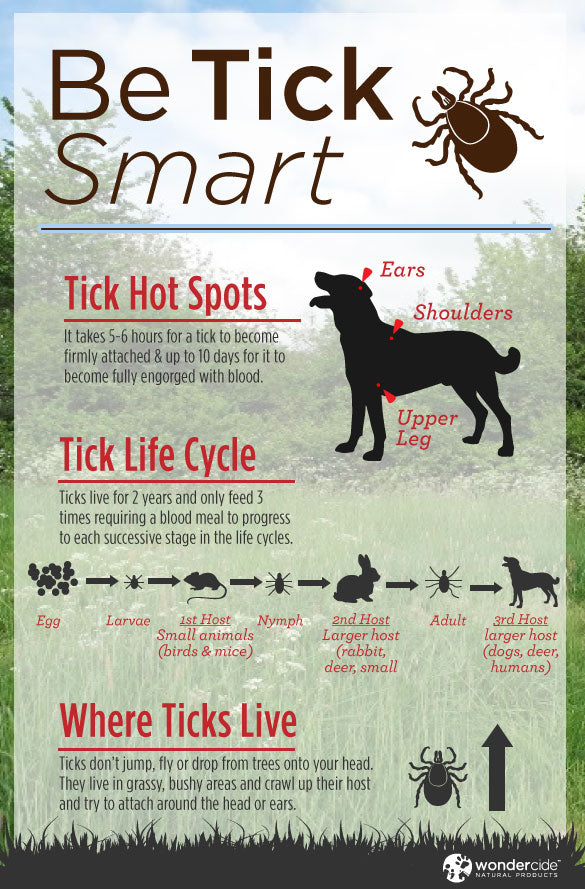 Infographic: Natural Tick Prevention 