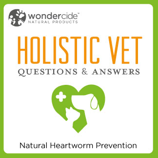 homeopathic heartworm prevention