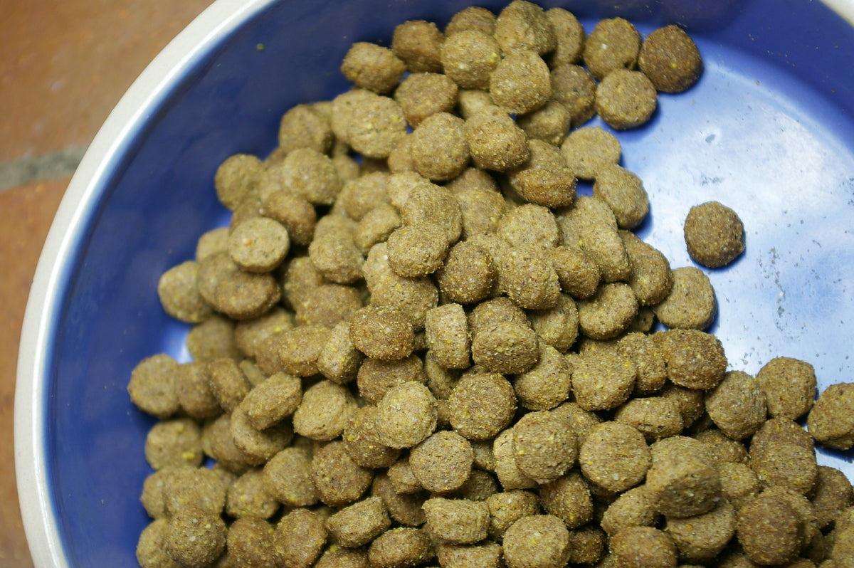 which brands of dog food have been recalled