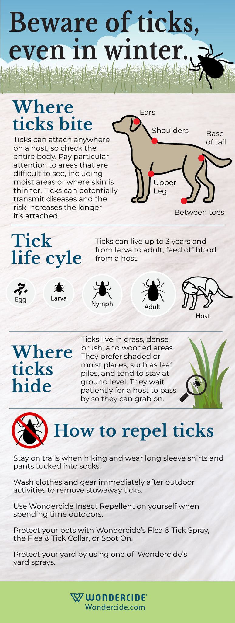 Ticks in winter infographic