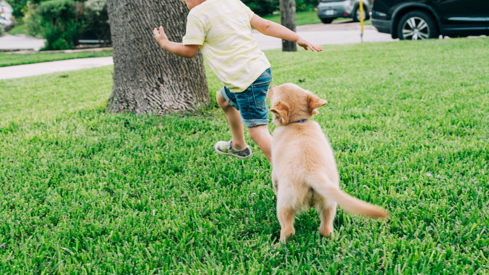 A boy and dog run through the yard on a scavenger hunt