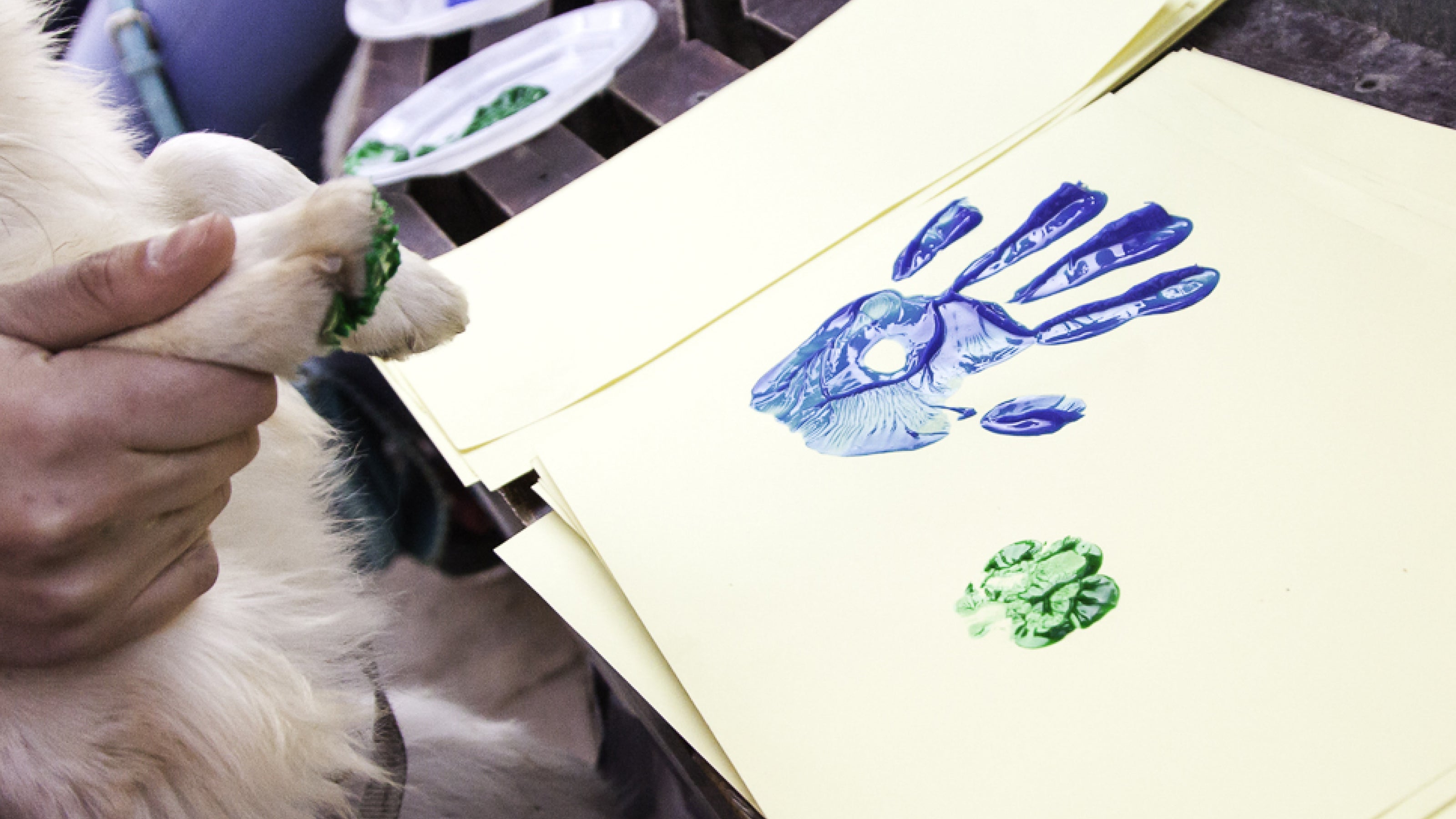 A brown and white dog has its paw print added to a hand print on a piece of paper
