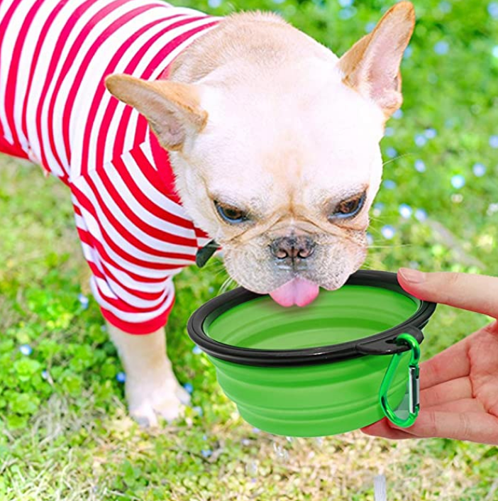 https://cdn.shopify.com/s/files/1/0275/8072/7380/files/A_collapsible_bowl_helps_your_pup_stay_hydrated_while_hiking_1024x1024.png?v=1676346552
