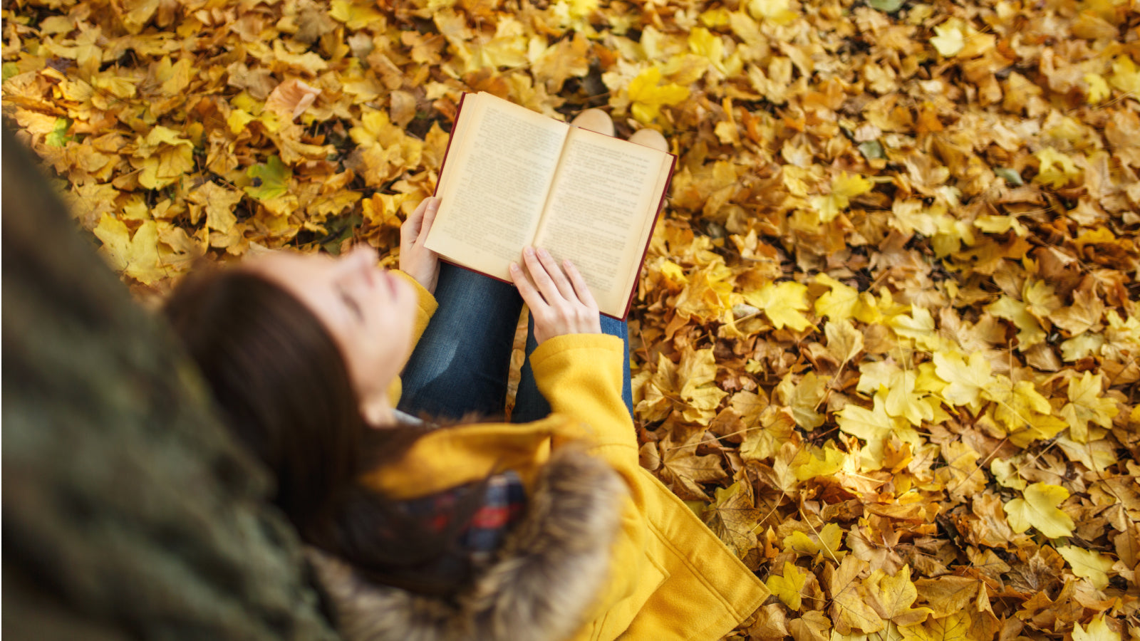 A girl reads a book against a backdrop of autumn leaves