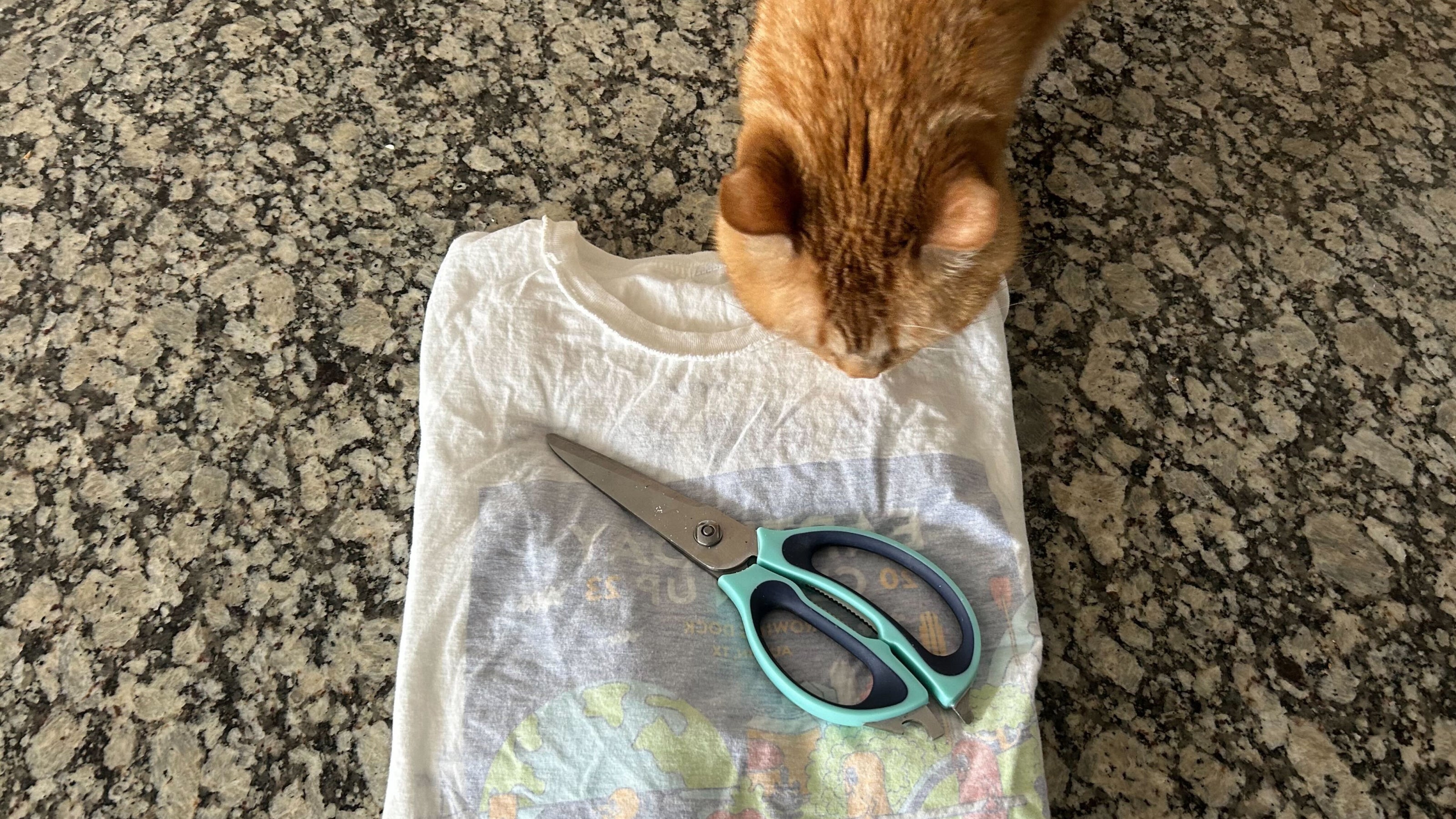 A golden brown cat looks over an old t shirt and scissors on a speckled countertop