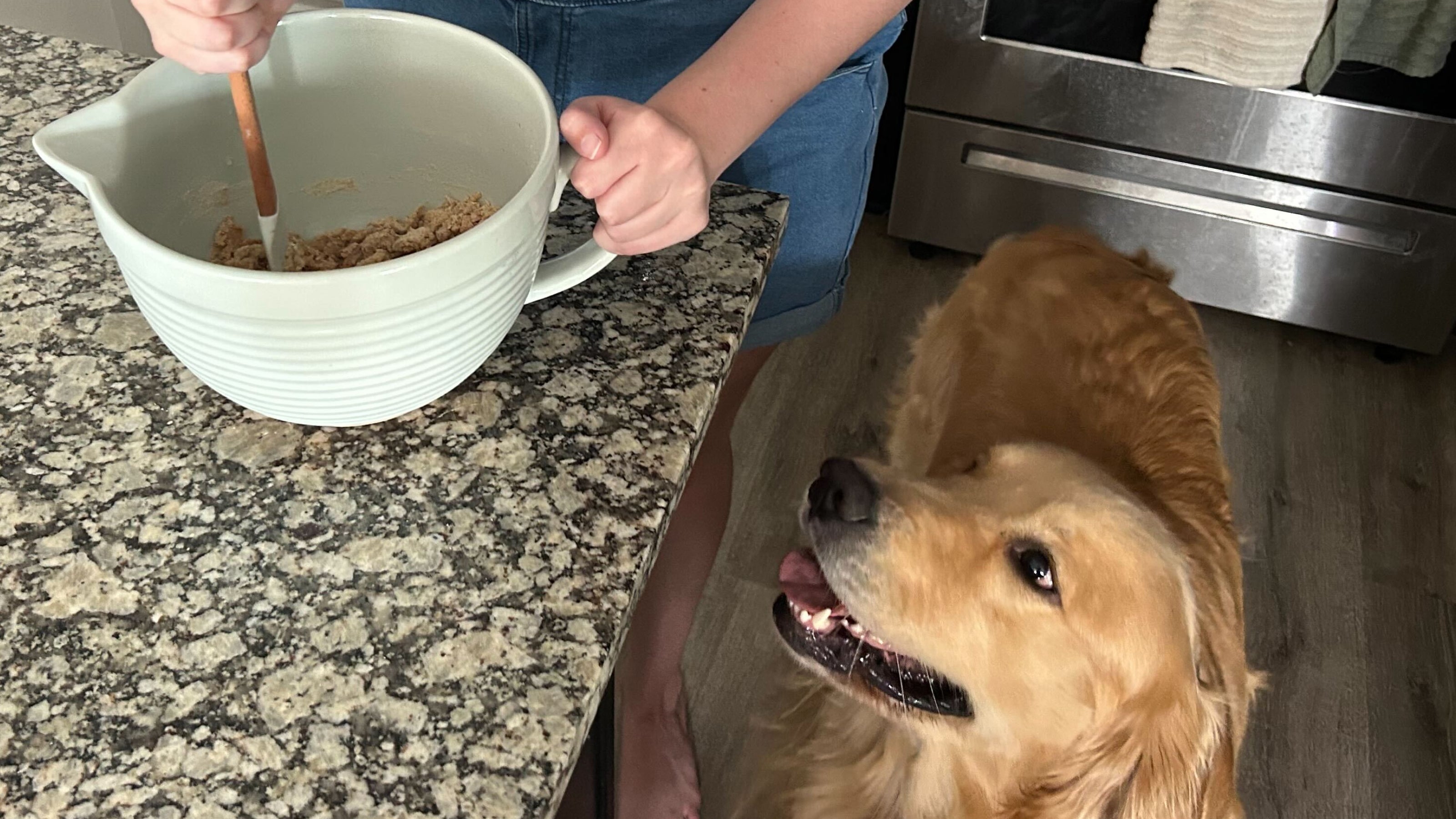 PB&J Day dog treat recipe ingredients in a mixing bowl