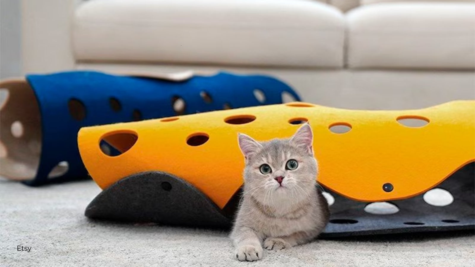A gray cat plays with blue and yellow felted play tunnels