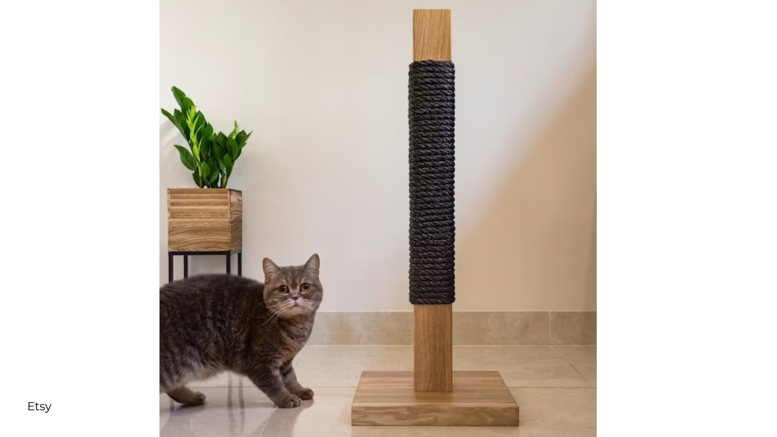 A gray cat stands next to a wooden scratch post on a floor stand