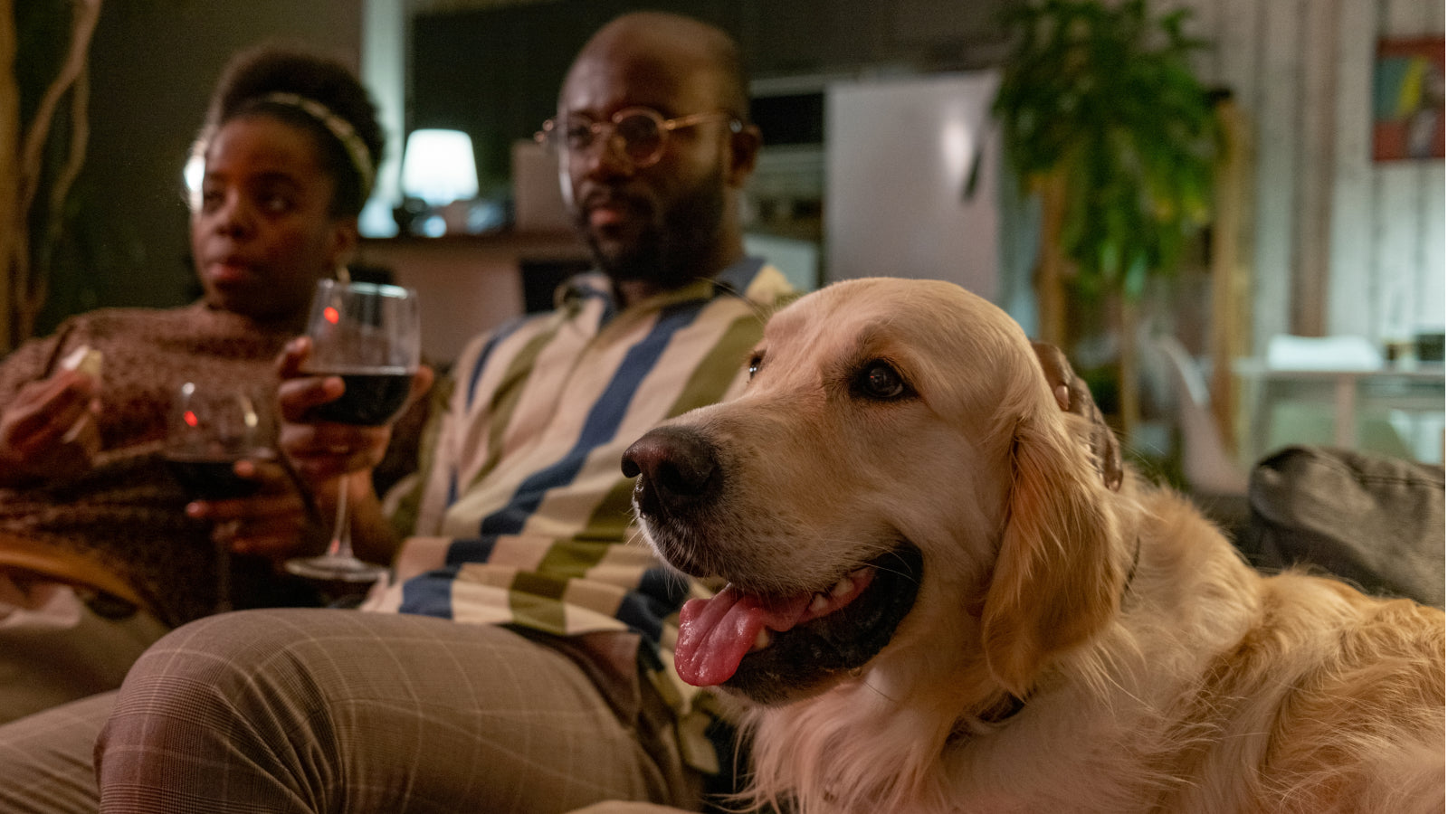 A man and woman enjoy wine with their golden retreiver while watching a movie