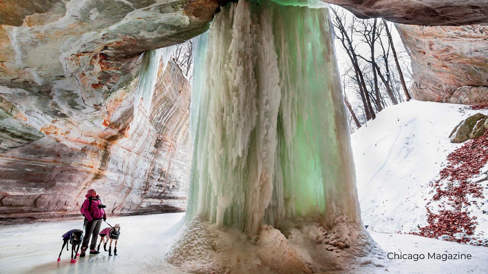 A person and two dogs marvel at Starved Rock State Park Illinois