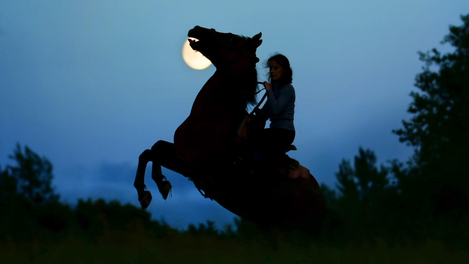 A rider on a horse at nightfall with the moon in the background