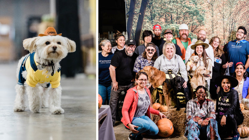 A small white dog wears a smokey ranger halloween costume while Wondercide employees pose with their dogs at the company halloween party