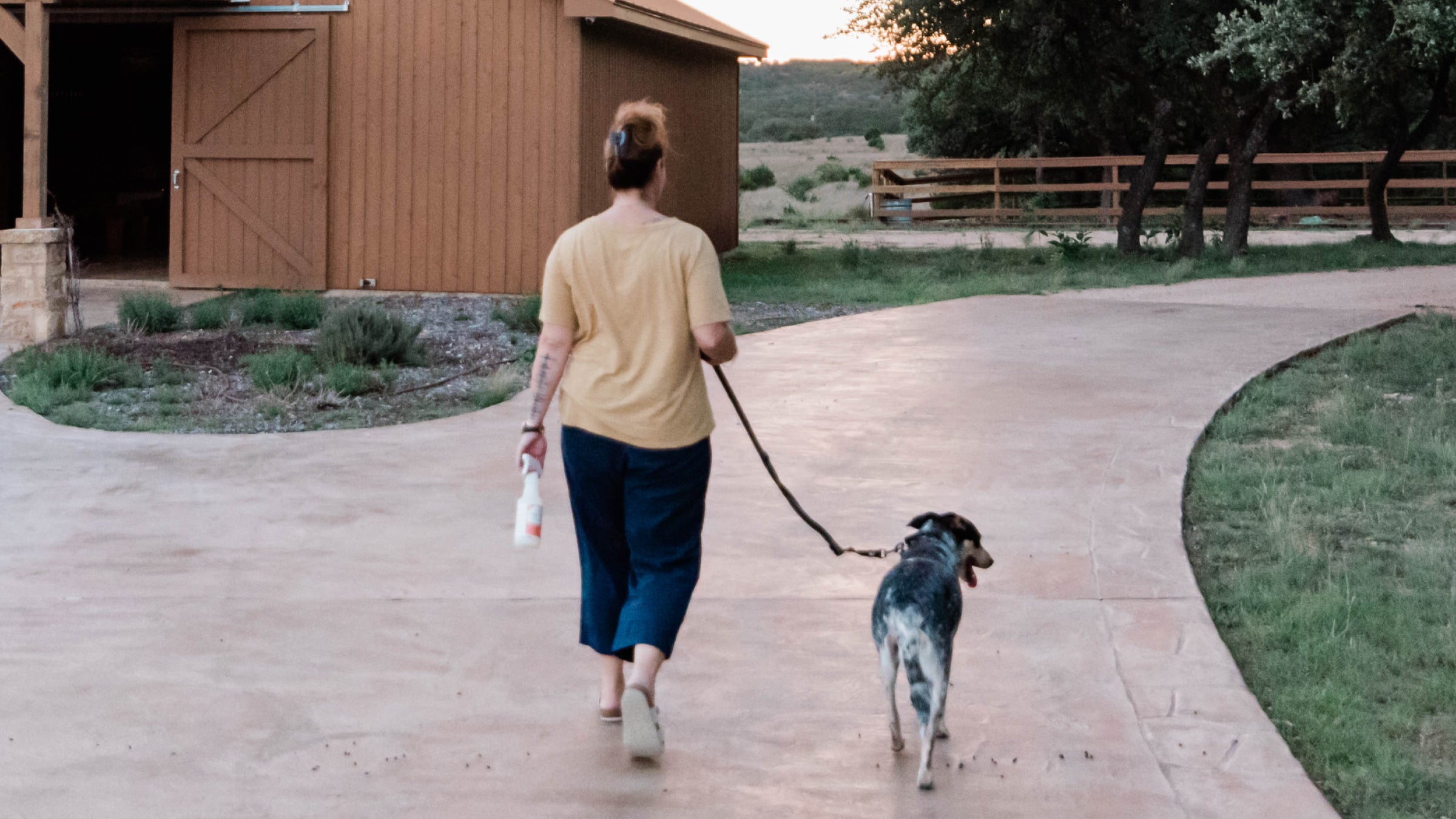 A woman in a tan shirt and blue pants walks her black and white dog on a leash while holding a bottle of Wondercide peppermint Flea & Tick spray