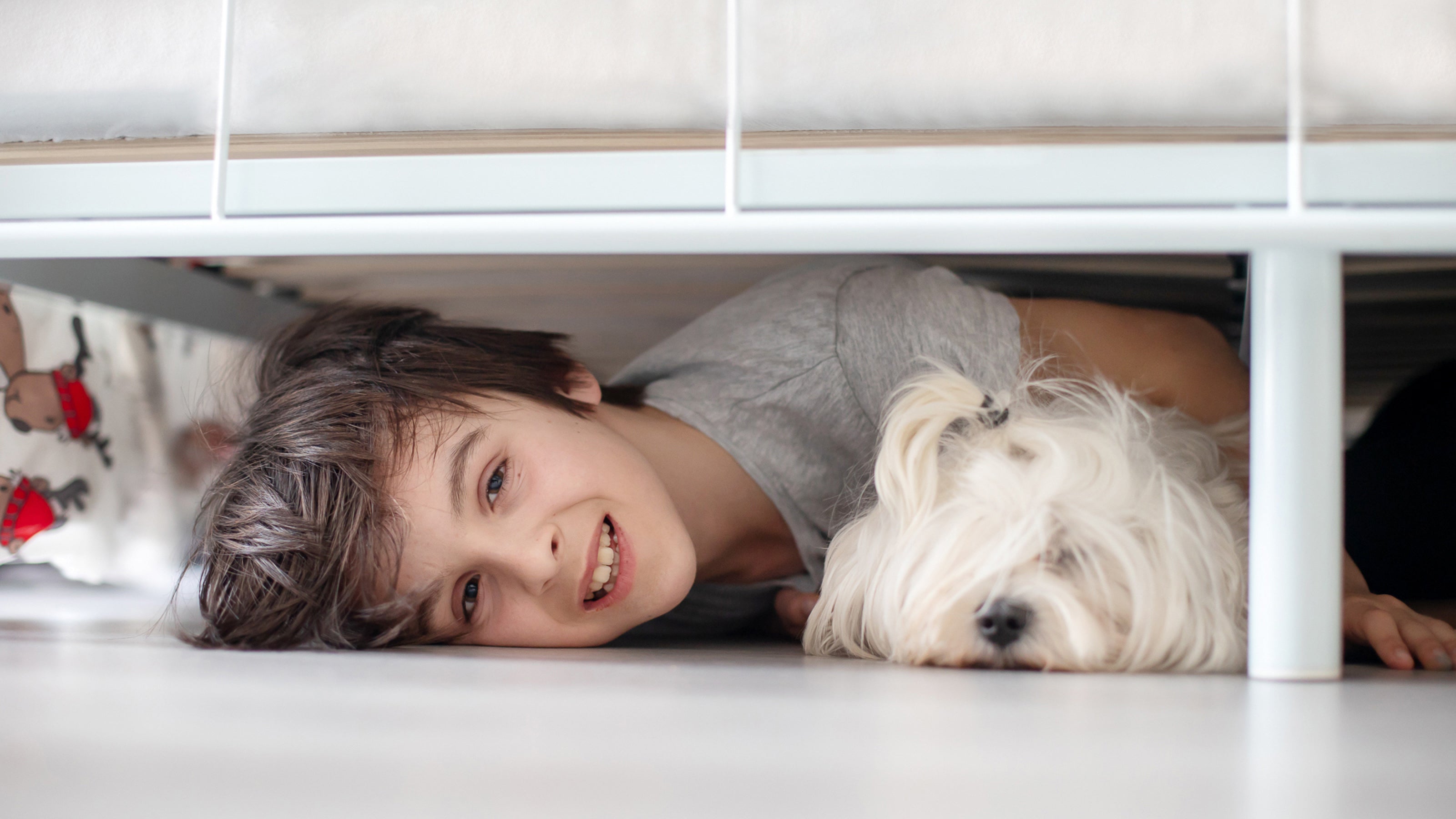 A young boy and white dog with long hair hide under a bed