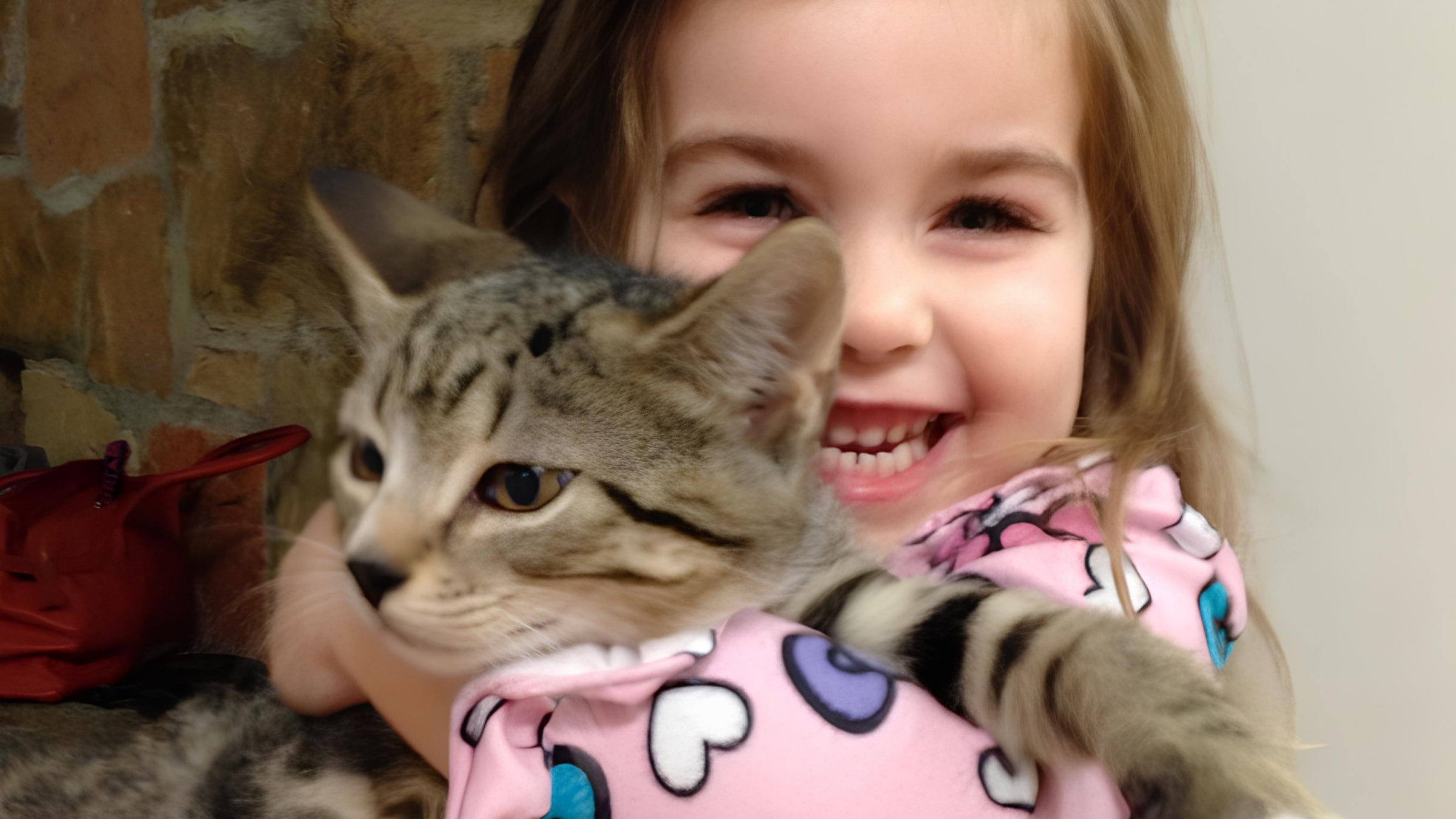 A young girl with a pink shirt holds a gray and tan cat