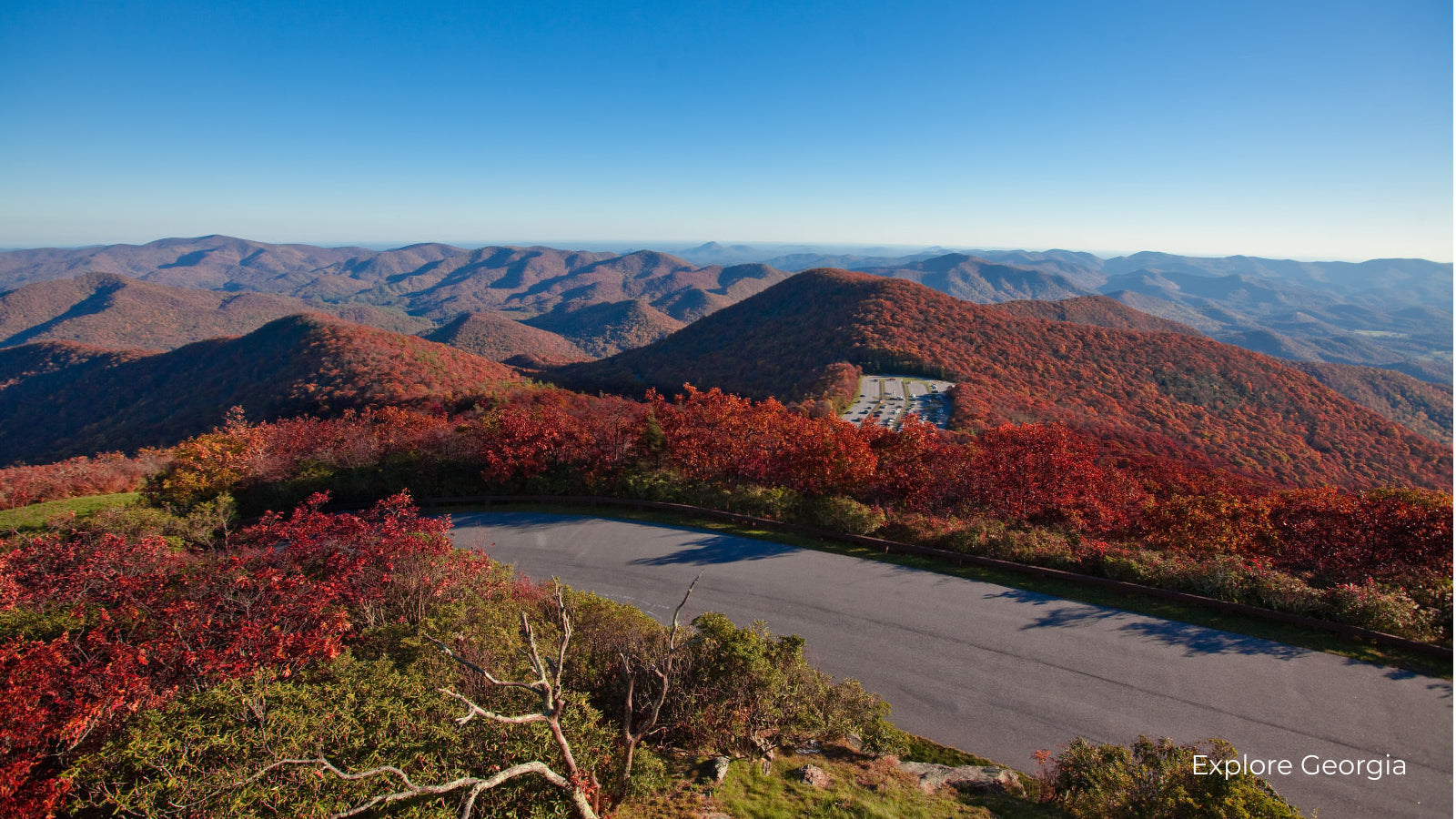 Chattahoochee Oconee National Forest in the fall