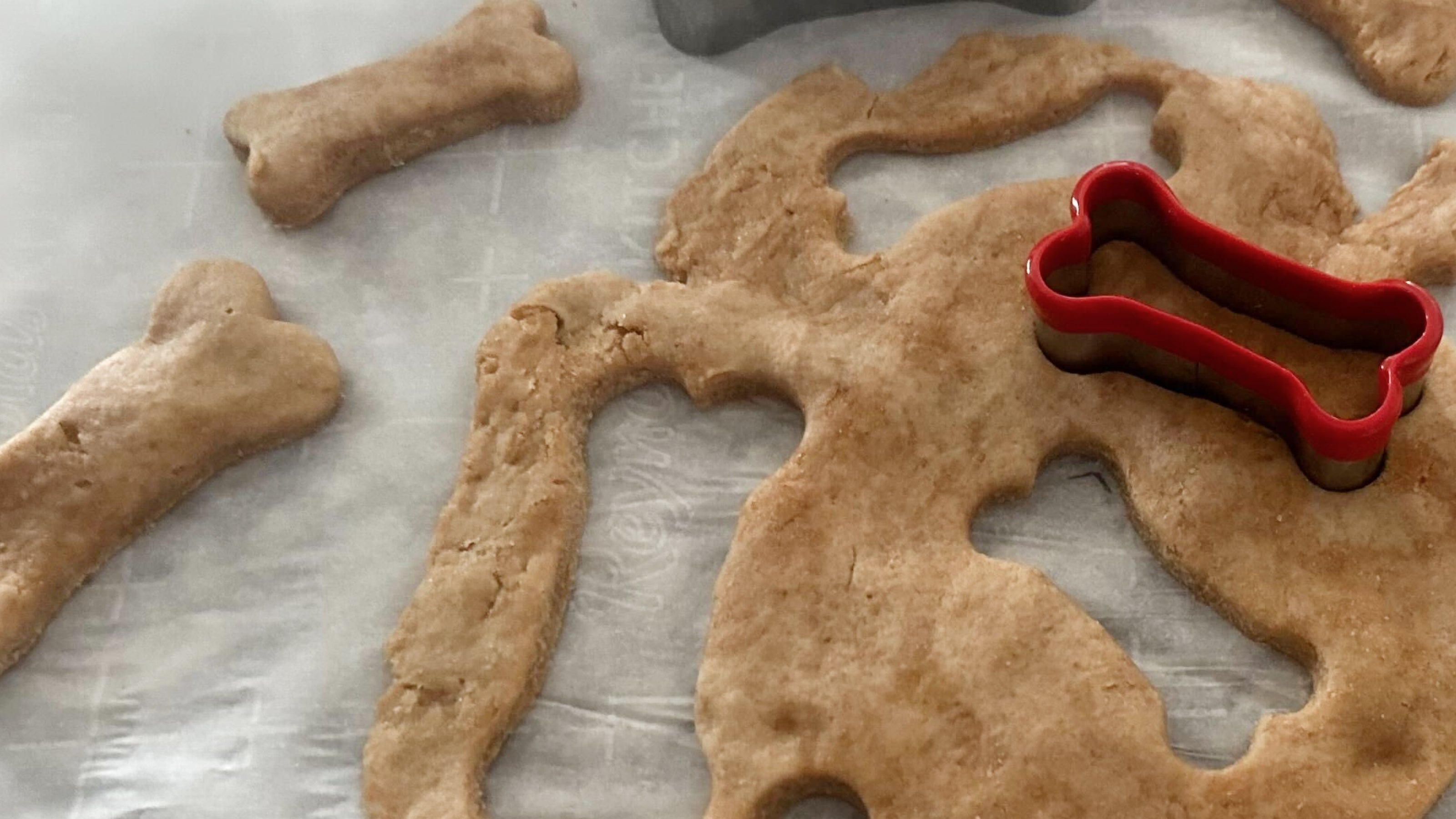 Dog treat dough cut into dog bones with red cookie cutter on parchment paper