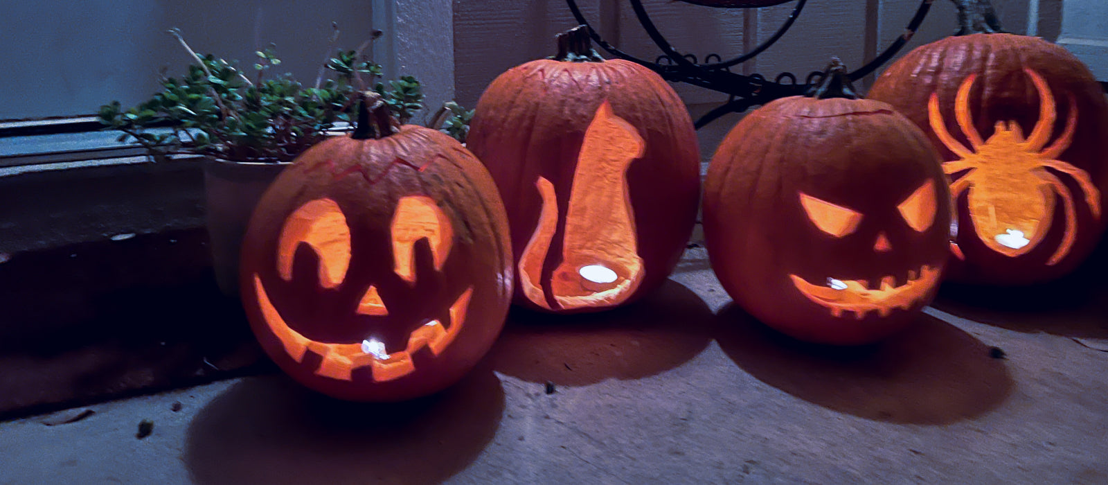 Carved pumpkins created using Wondercide Halloween pumpkin carving templates