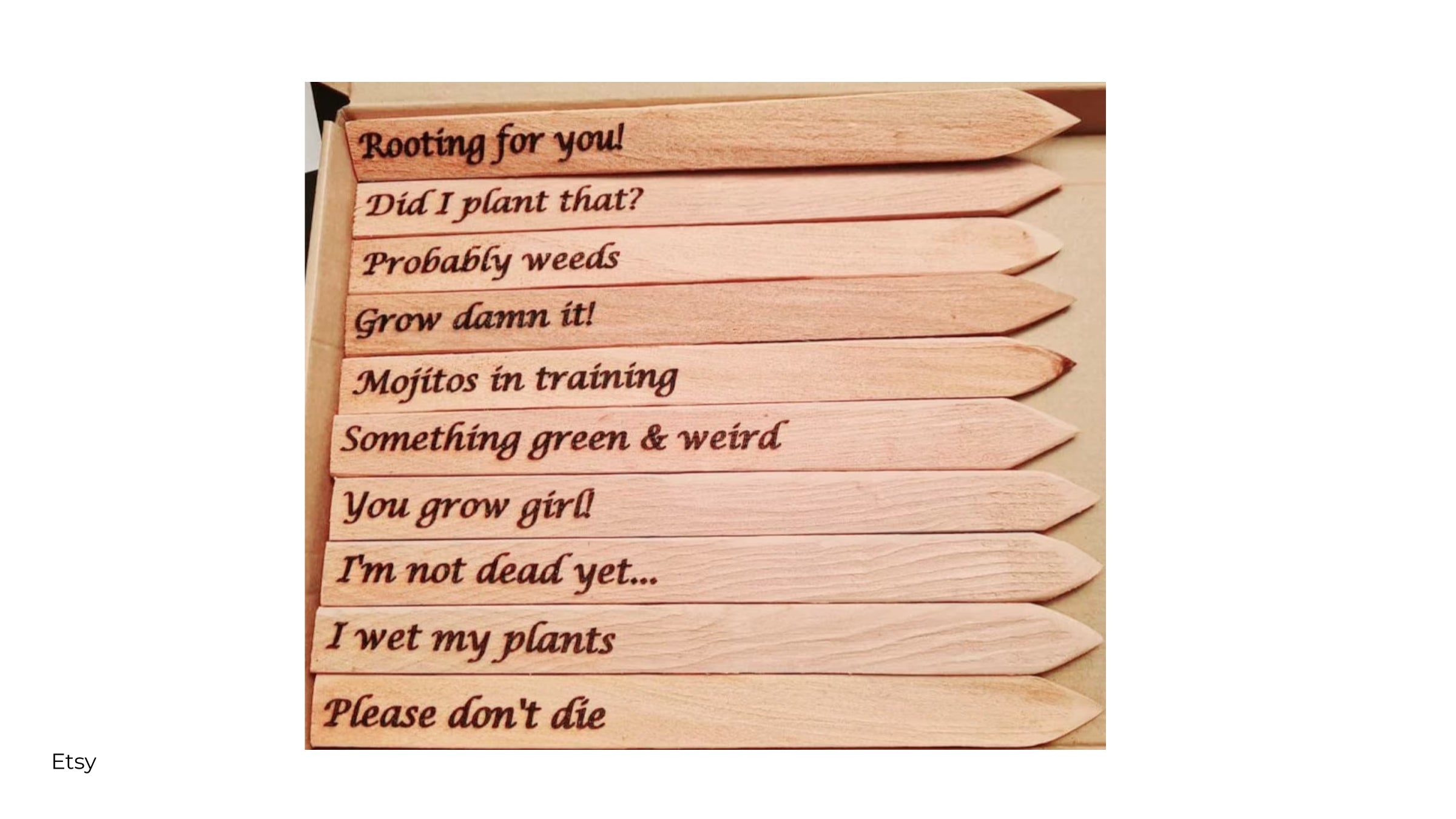 Funny sayings plant markers from Etsy